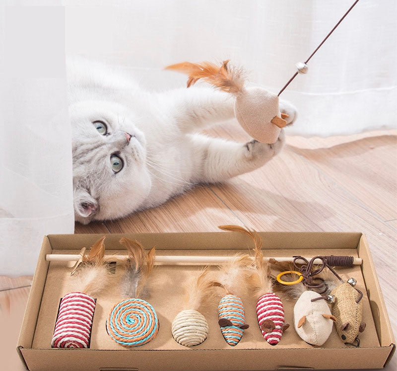 Toy for Cats