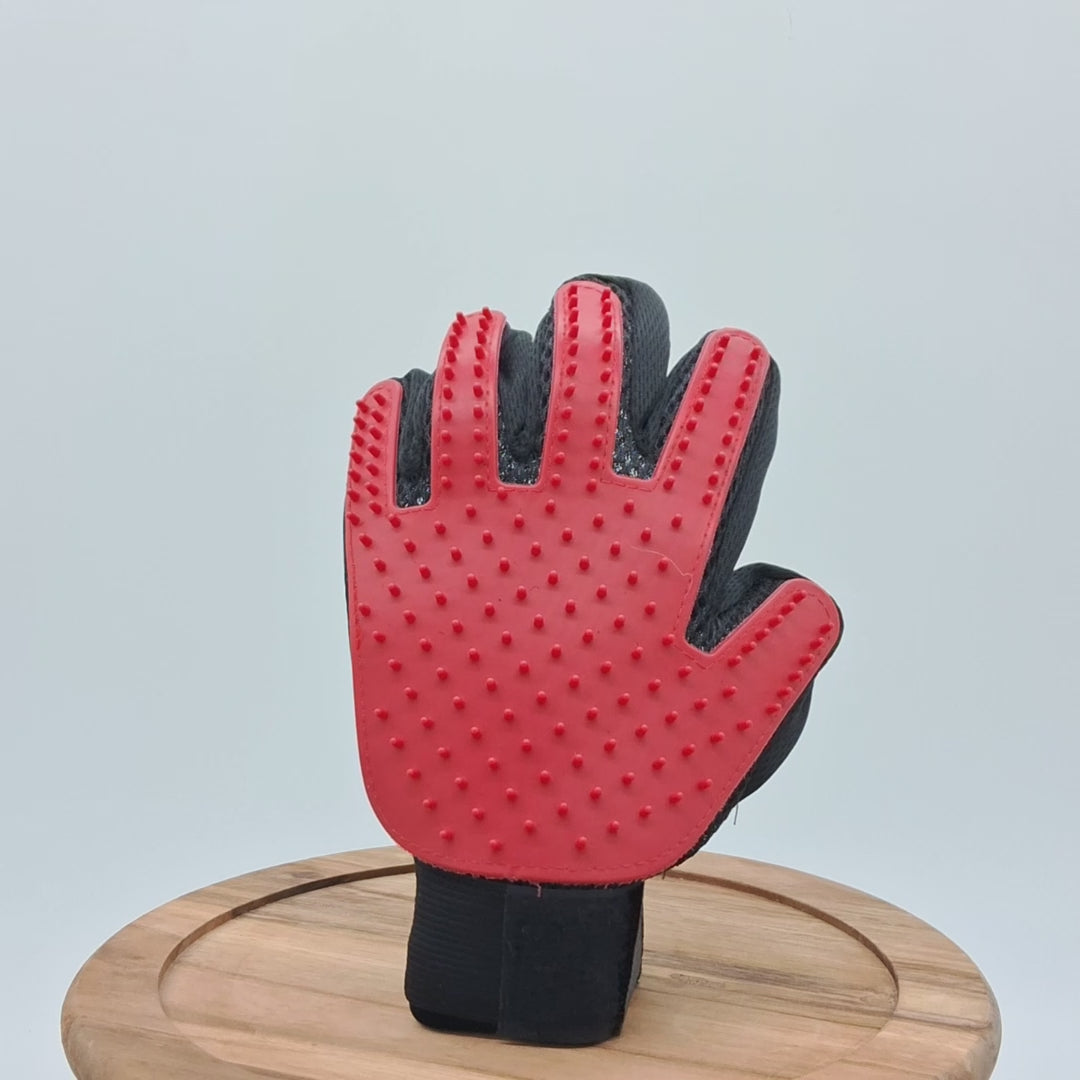 Grooming Glove-9